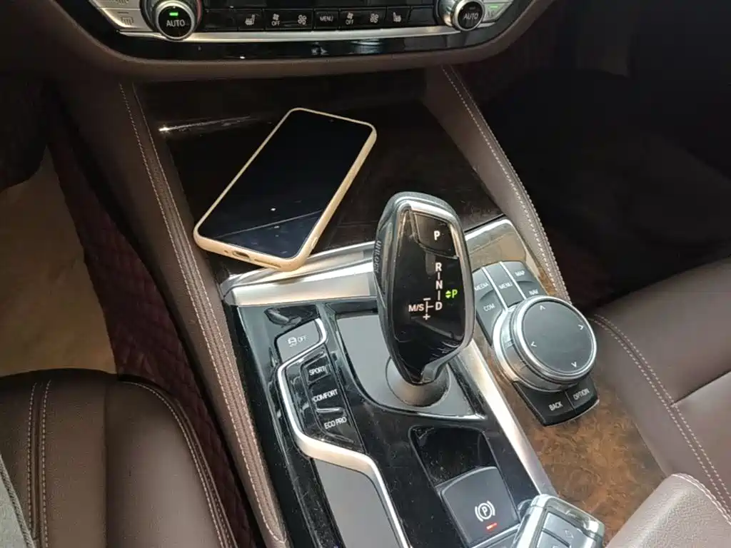 BMW 5 Series 2020 525Li Luxury Package фото 14