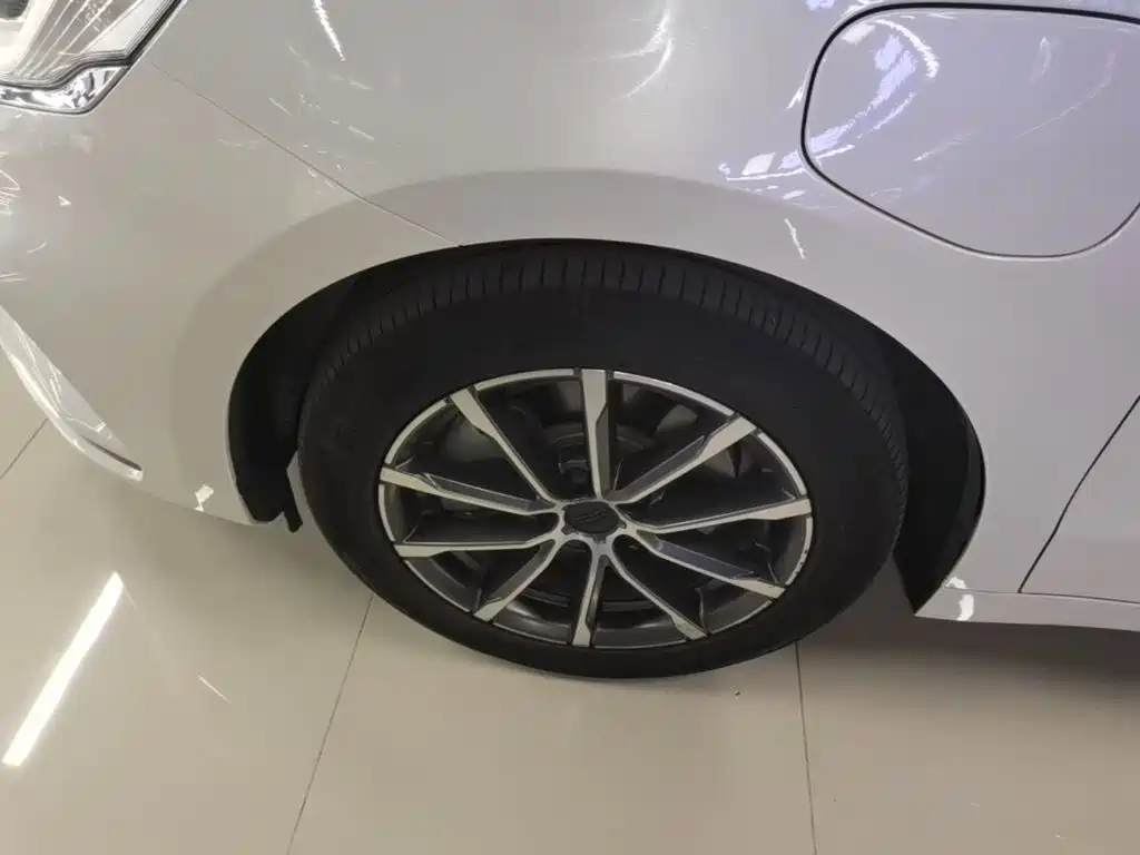 Geely Borui PHEV 2020 2021 1.5T ePro Leading Glory Edition