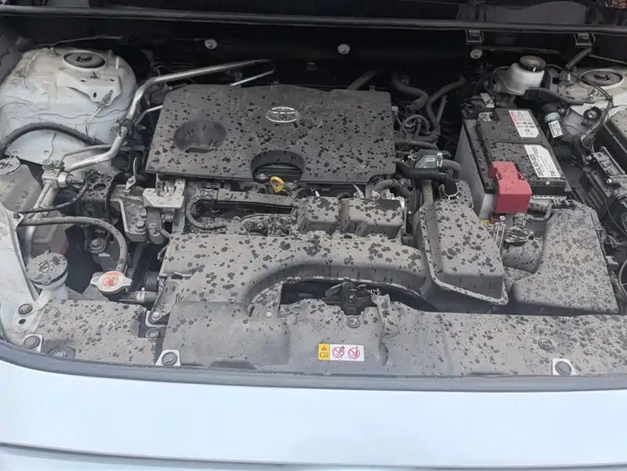 Toyota RAV4 Rongfang 2024 2.0L CVT FWD Urban Edition фото 10