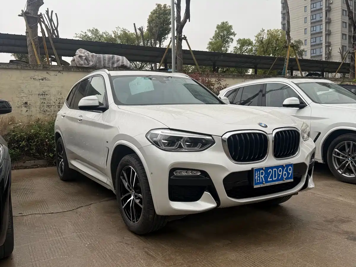 BMW X3 2018 xDrive25i M Sport Package China V