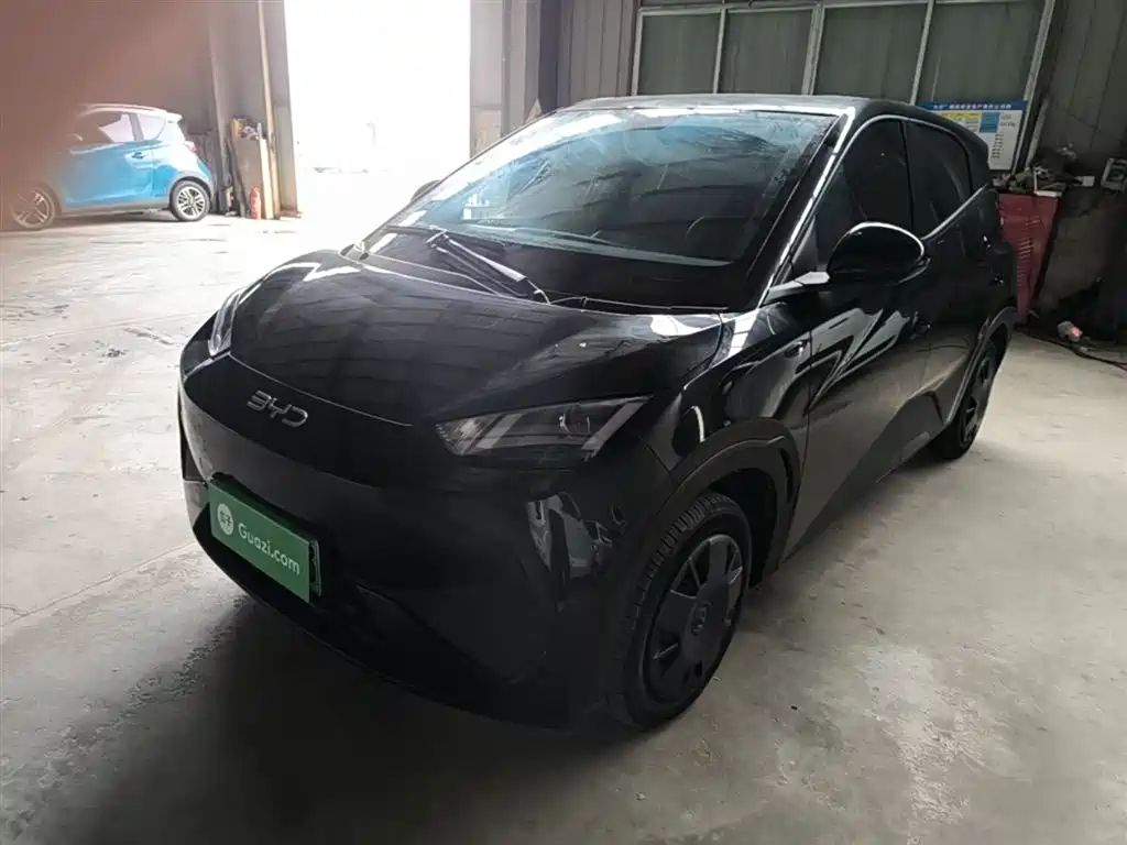 BYD Seagull 2025 Smart Drive Edition 305km Vitality Version