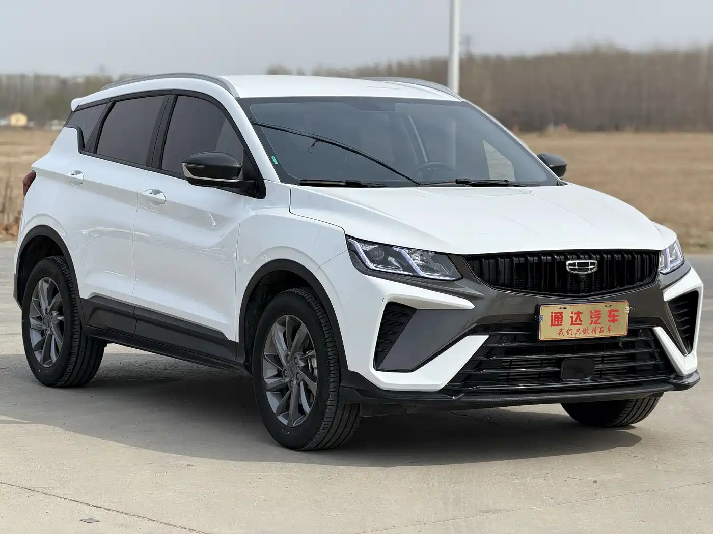 GEELY AUTOMOBILE BINYUE