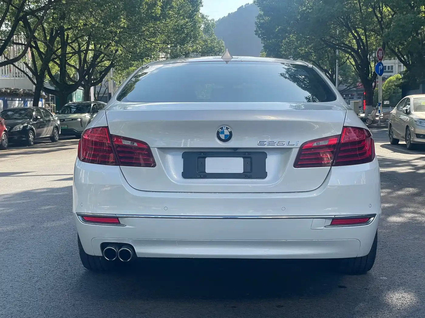BMW 5 Series 2017 525Li Luxury Design Package фото 7