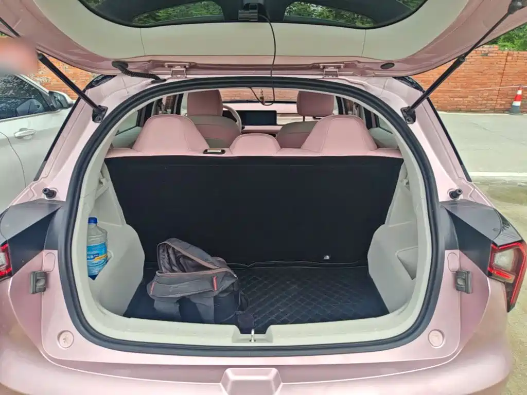 Geely Geometry E Firefly 2023 2023 401KM Linglong Tiger 5-Seater