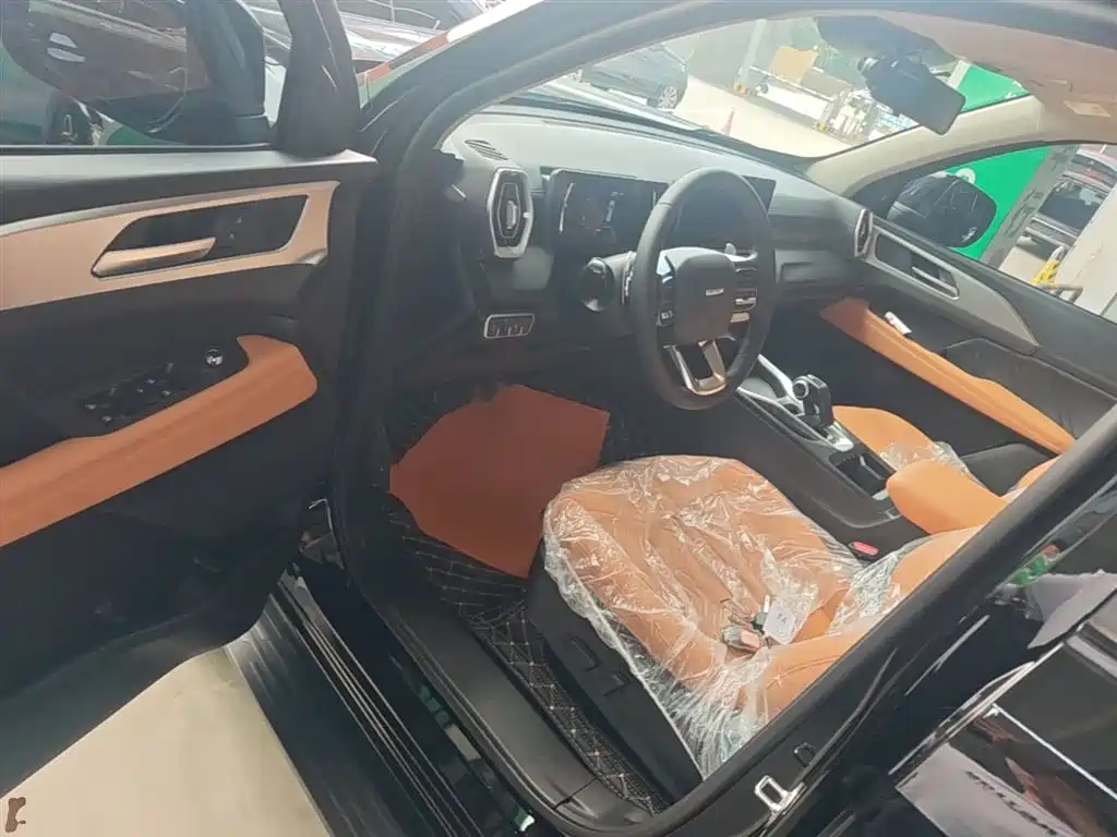 Haval H5 2025 2.0T Auto 4WD Navigation Edition (Gasoline) фото 16