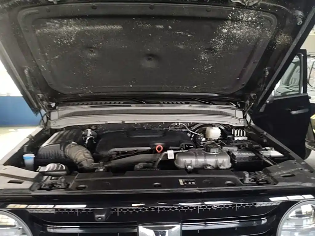 Tank 300 2026 2025 2.0T Challenger