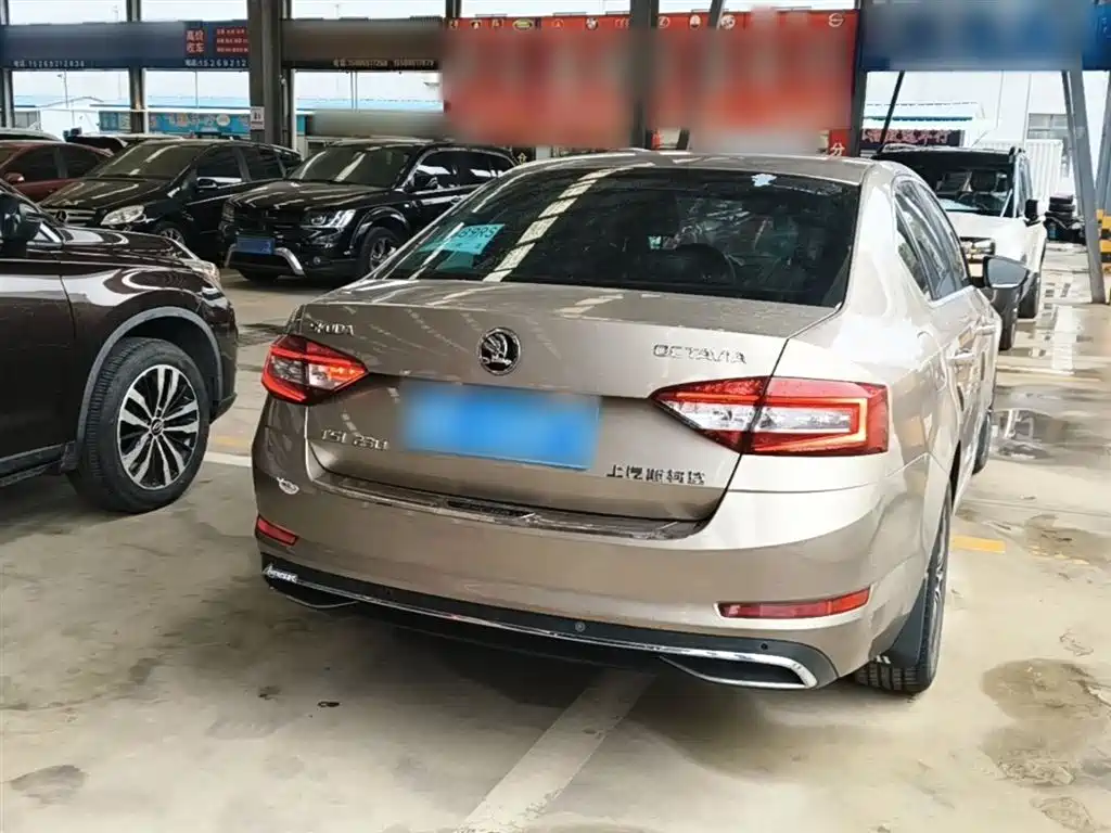 Škoda Octavia 2018 TSI230 DSG Luxury Edition фото 7