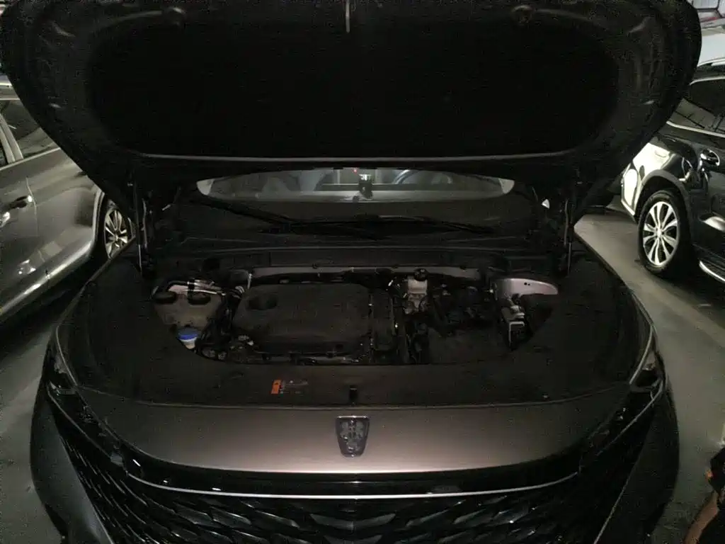 Roewe RX5 2024 2023 1.5T Superior Edition