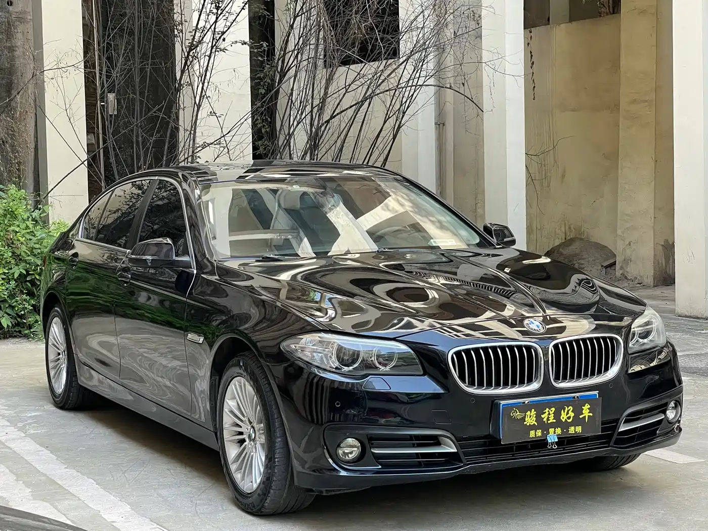 BMW 5 Series 2014 525Li Leading фото 3