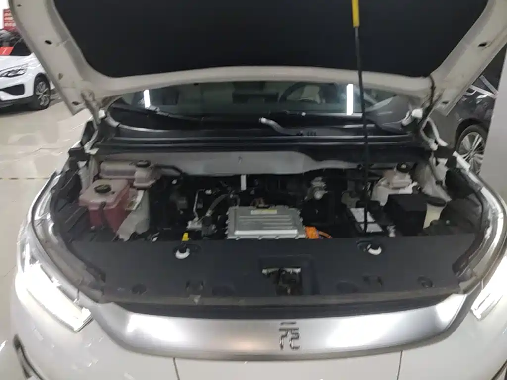 BYD Yuan Pro 2021 2021 401KM Premium Model