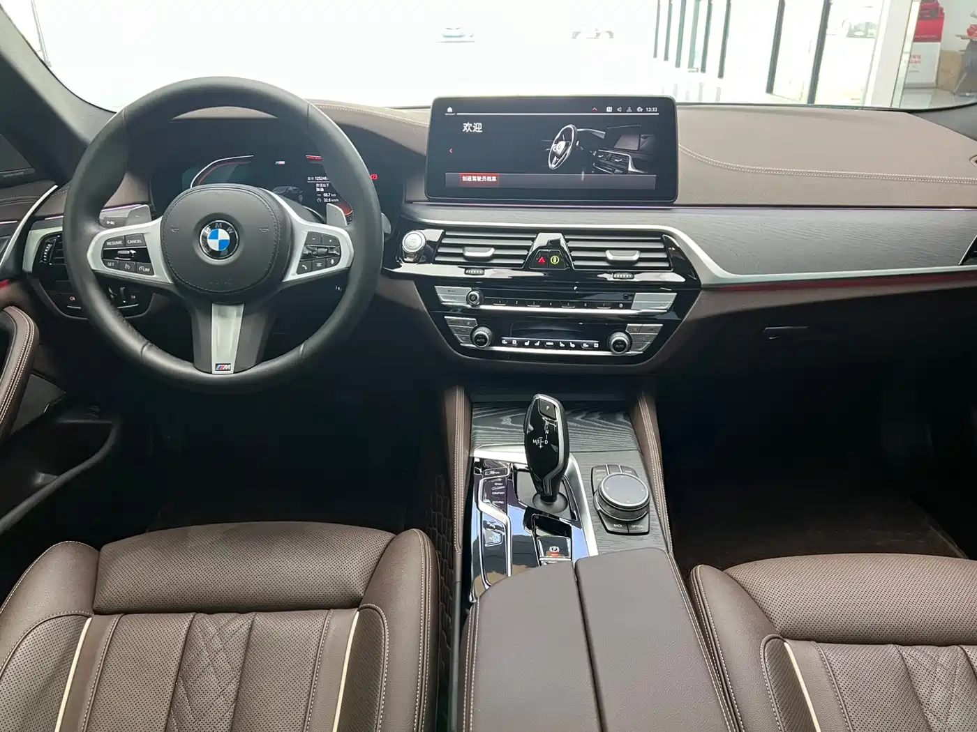 BMW 5 SERIES