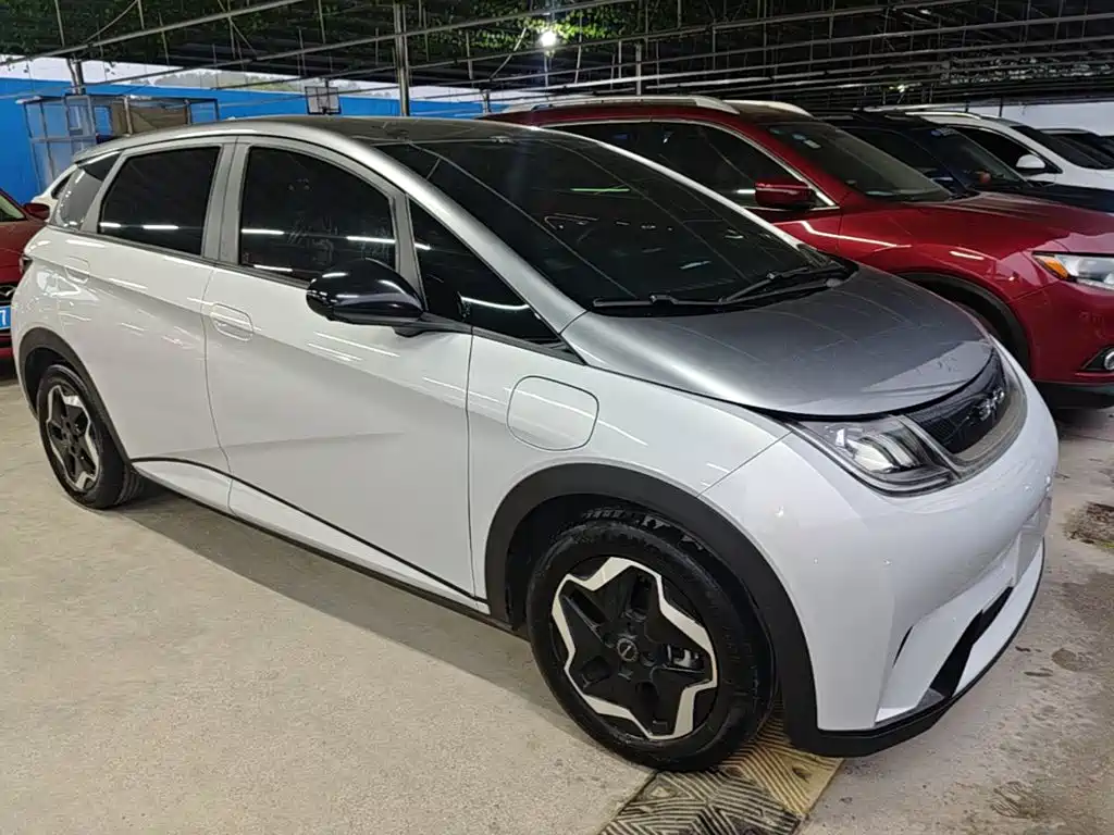 Фото 4 - BYD Dolphin