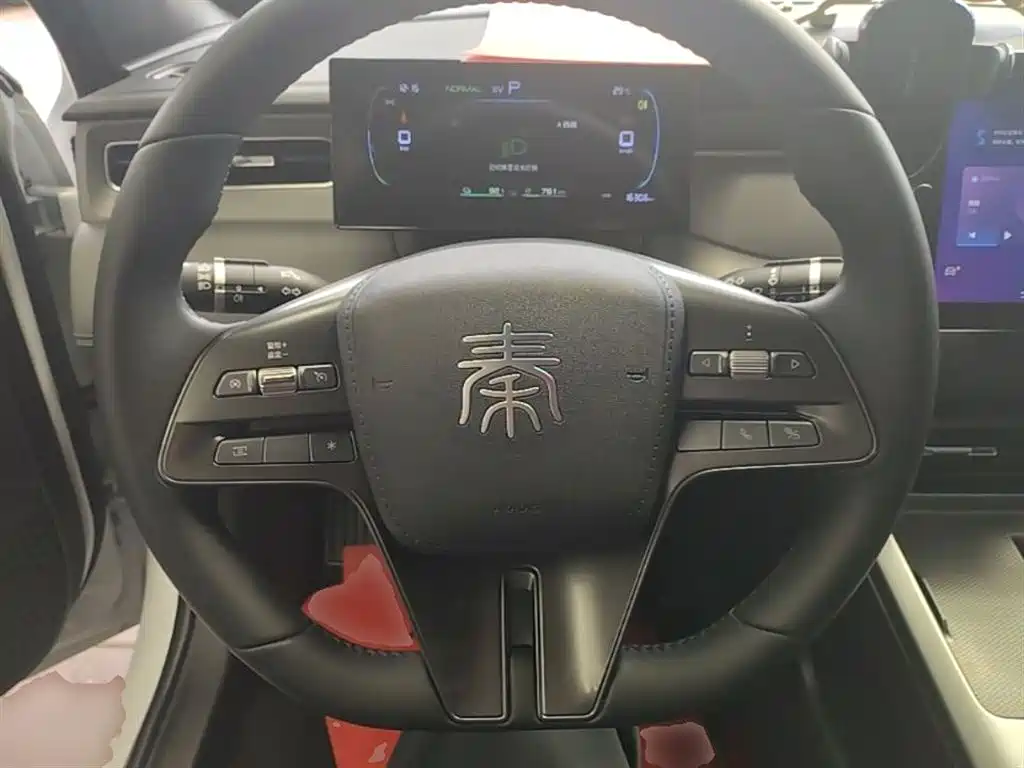 BYD Qin PLUS 2025 DM-i Smart Drive 55KM Leader фото 11