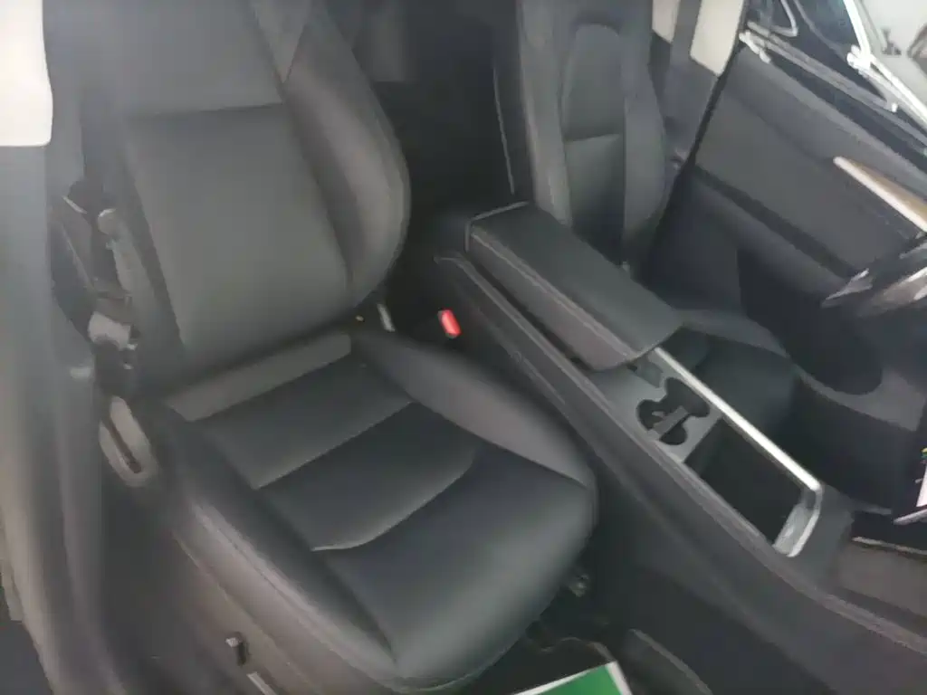 Tesla Model Y 2021 2021 Standard Range Rear-Wheel Drive