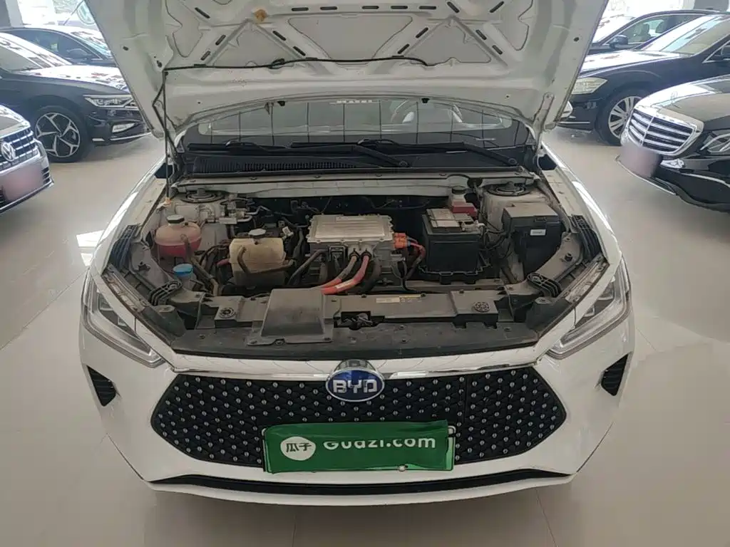 BYD e2 2021 2021 Luxury Edition
