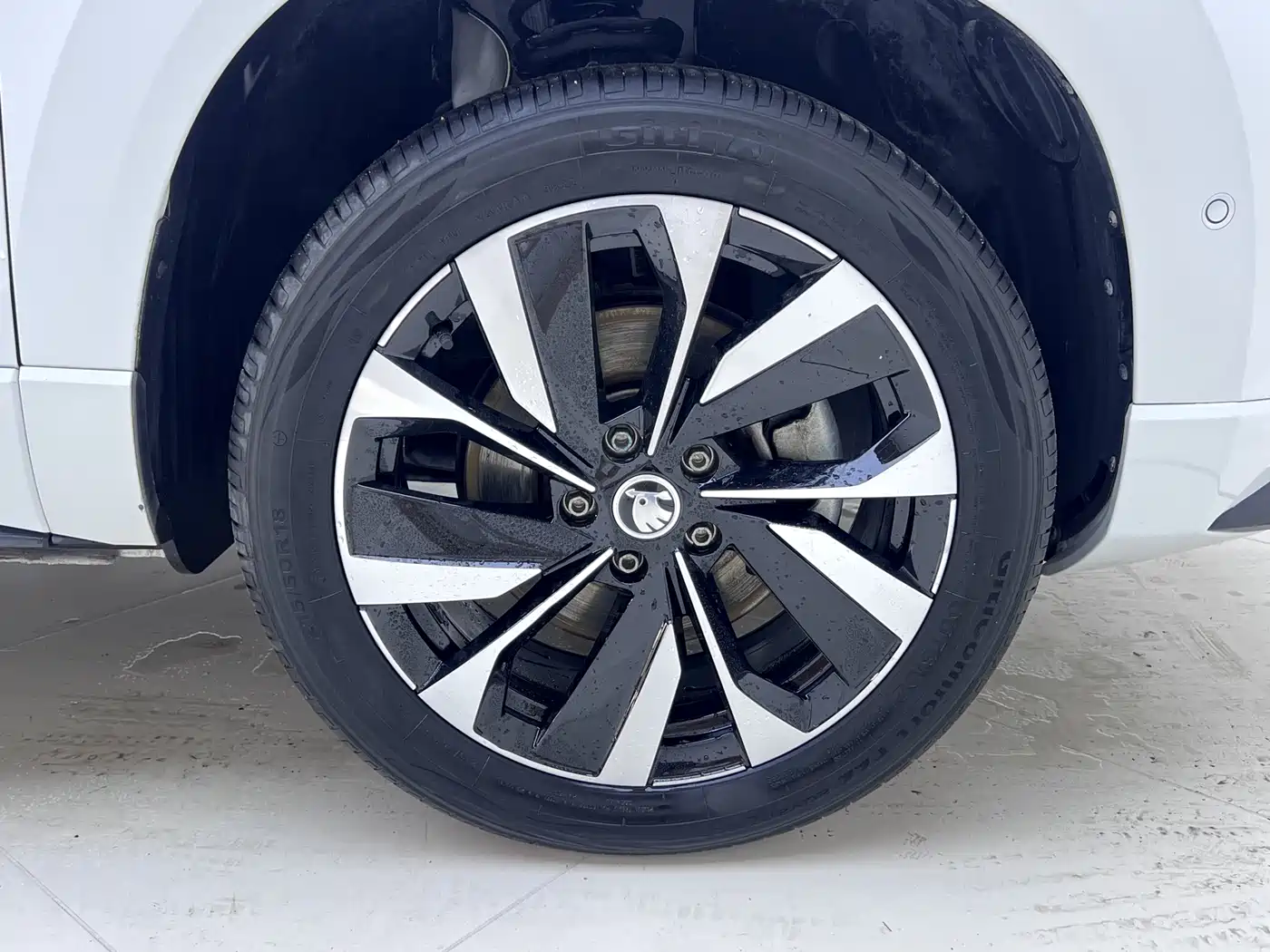 Škoda Karoq 2023 TSI280 Luxury Edition фото 28