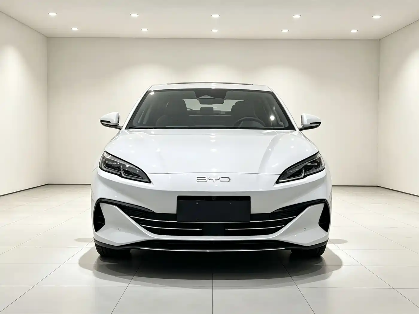 BYD Seal 06 New Energy 2024 DM-i 120KM Premium фото 2