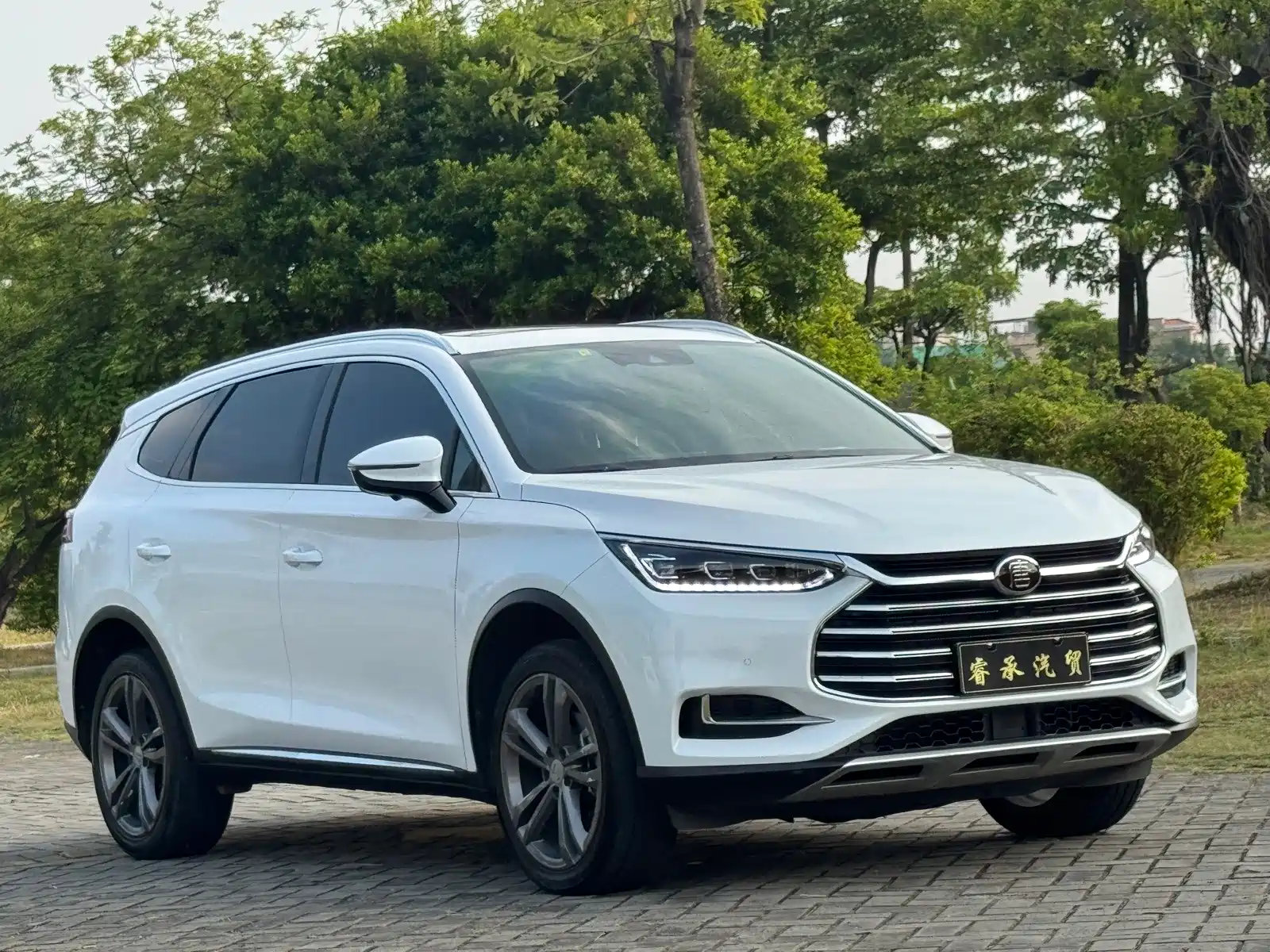 Фото 3 - BYD Tang