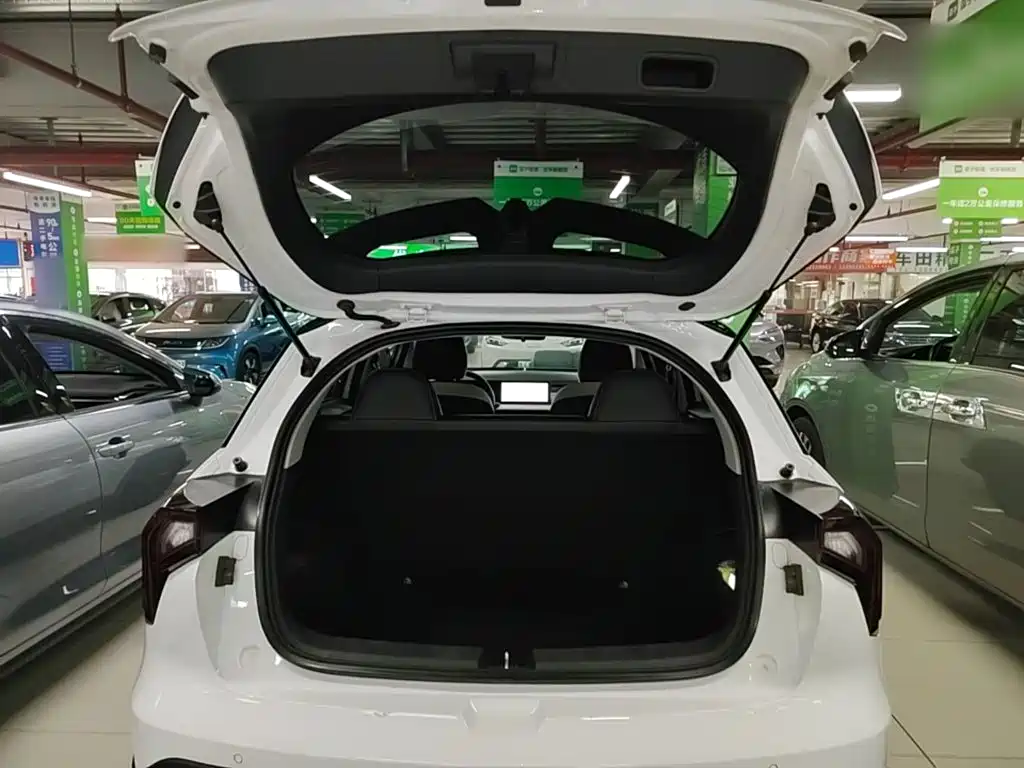 Geely Geometry E Firefly 2022 2022 401KM Delicate Tiger 4-seater