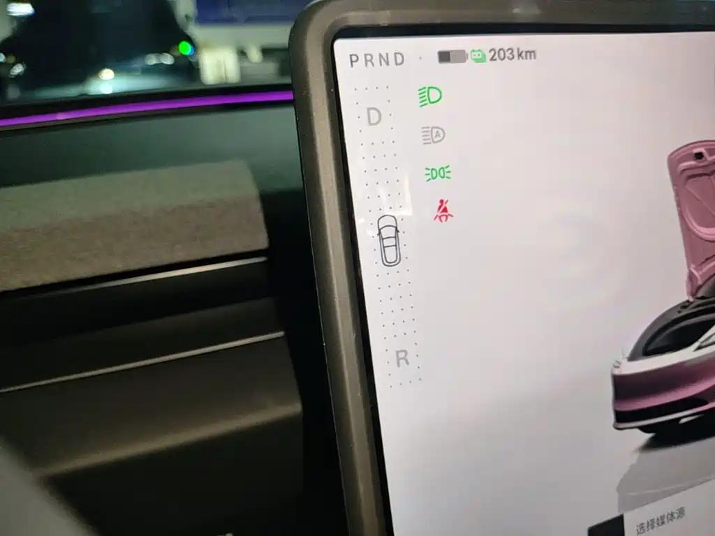 Tesla Model 3 2025 2025 Model Rear-Wheel Drive Edition