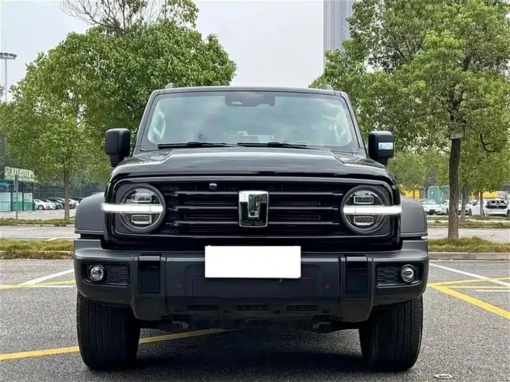 Tank 300 2023 Off-Road Edition 2.0T Conqueror фото 2
