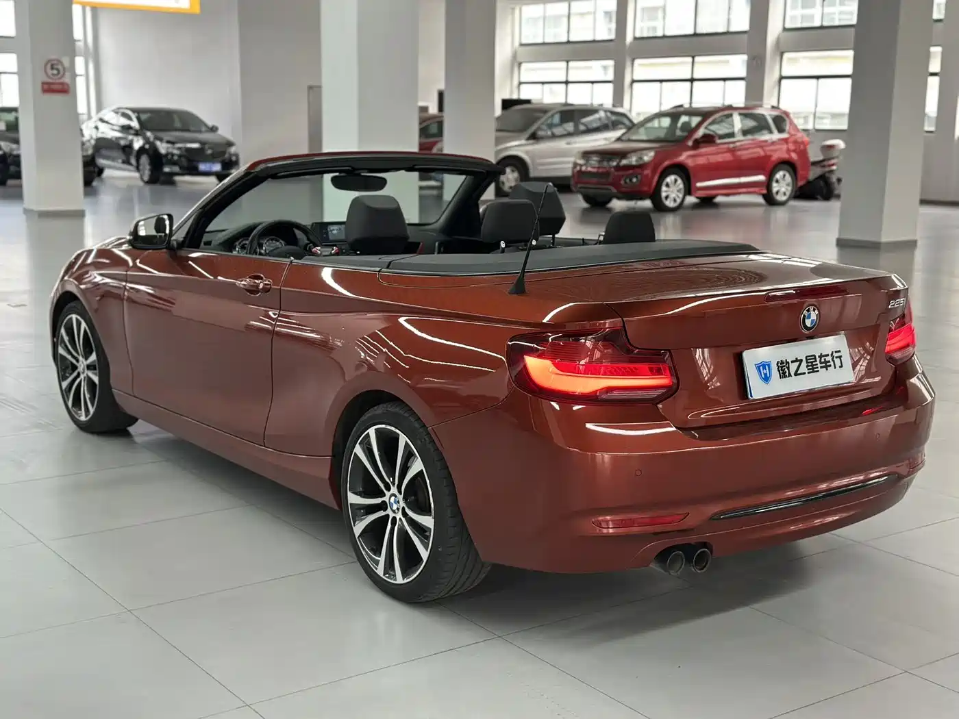 BMW 2 Series (Import) 2019 225i Convertible Coupe Sport Design Package фото 6