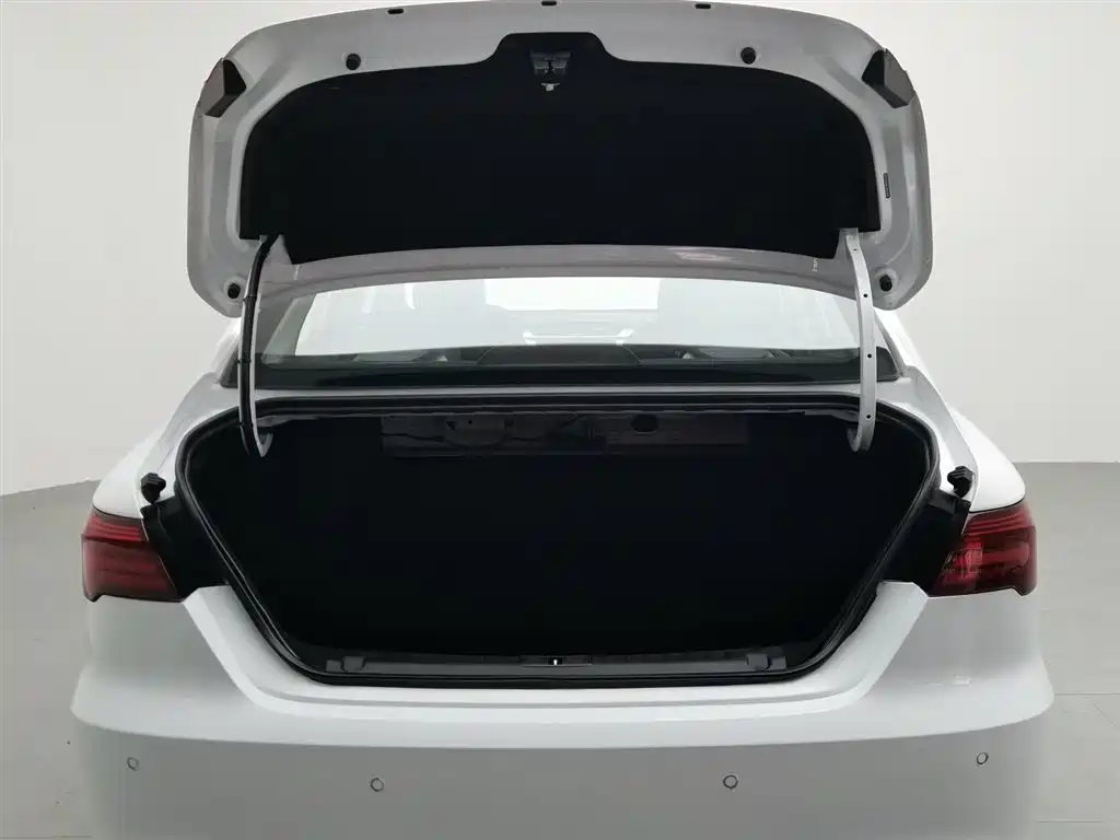 GEELY AUTOMOBILE BINRUI