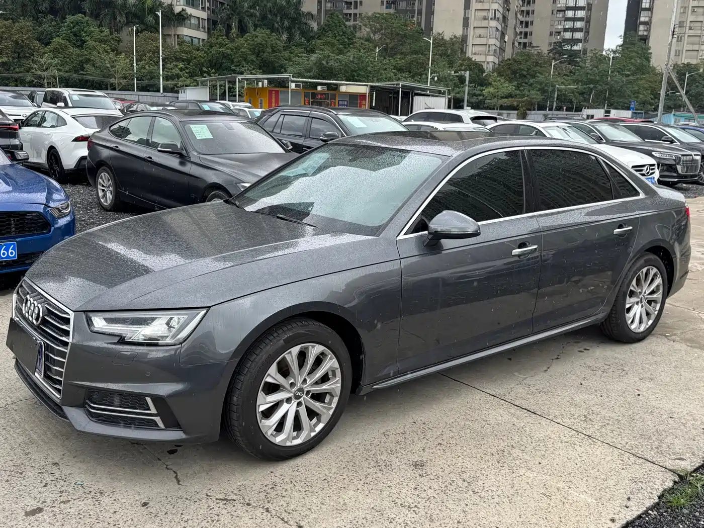 Audi A4L 2019 40 TFSI Progressive (China VI) фото 2