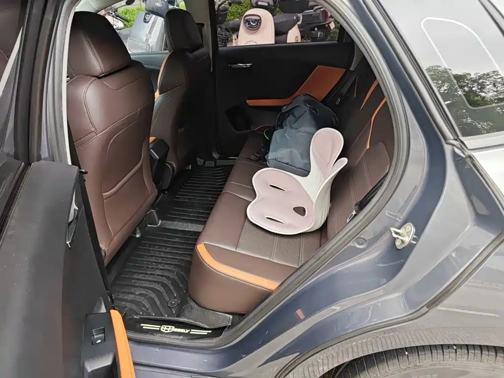 BYD e2 2020 2020 Upgraded Long Range Luxury