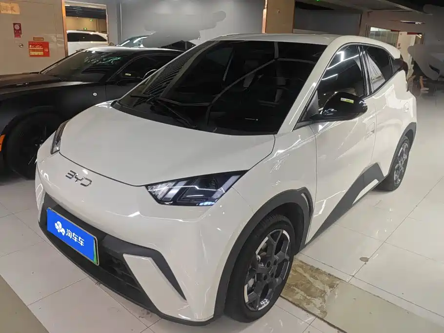 BYD Seagull 2025