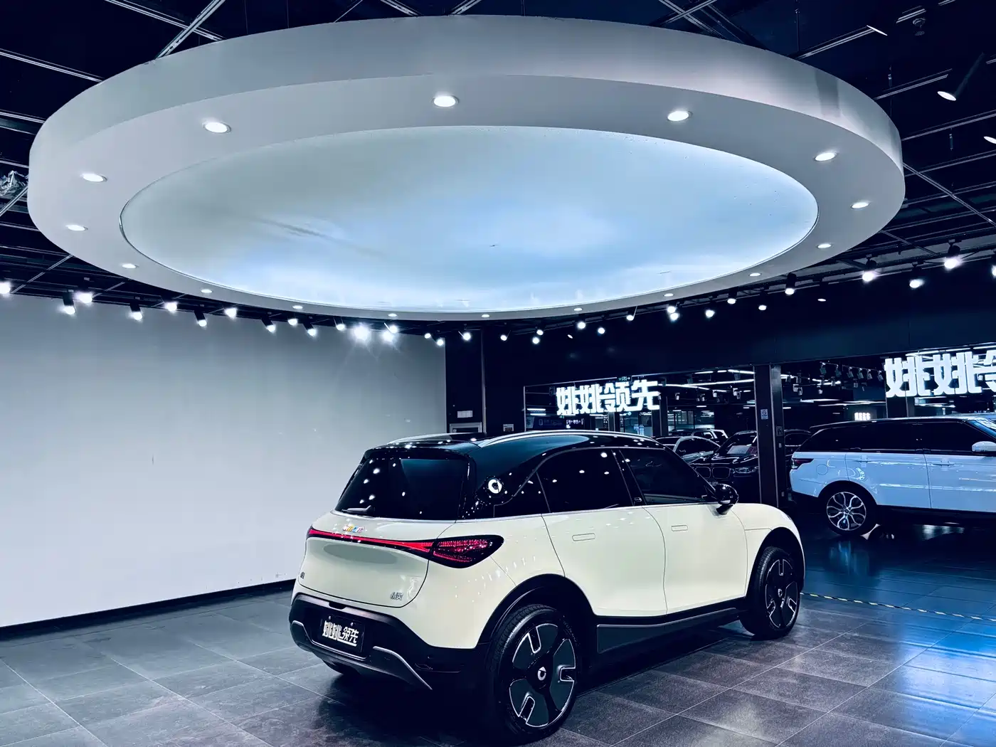 smart Elf #1 2024 2024 Premium Edition