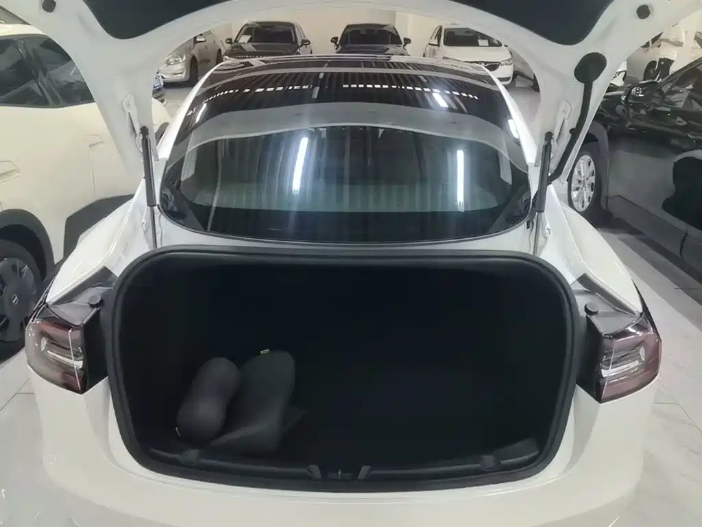Tesla Model 3 (Import) 2020 2019 Long Range All-Wheel Drive Edition
