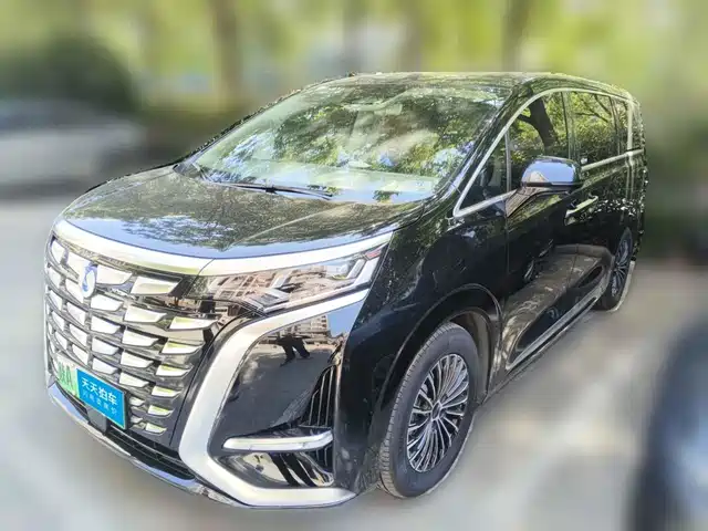 Denza D9 2022 DM-i 970 All-Wheel Drive Honor Edition — фото 1