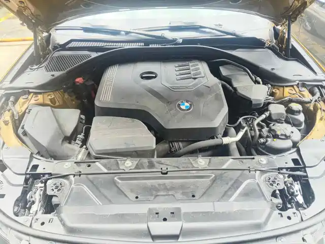 BMW 3 Series 2020 325Li Launch Edition — фото 3