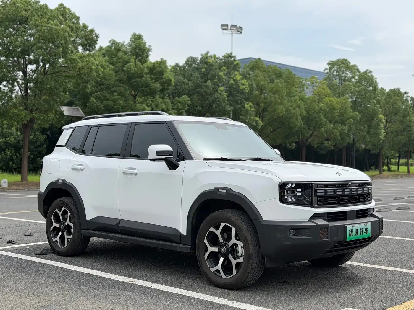 Jetour Shanhai T1 2025 2025 Model Year 150km Explorer