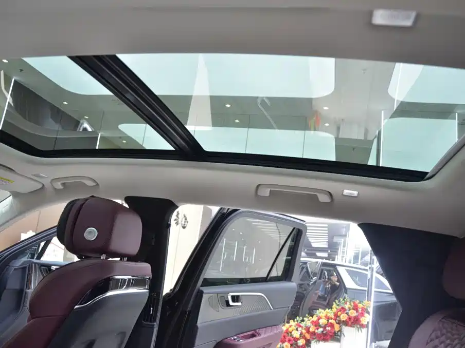 Hongqi E-HS9 2023 2021 460km Flagship Comfort 6-seater