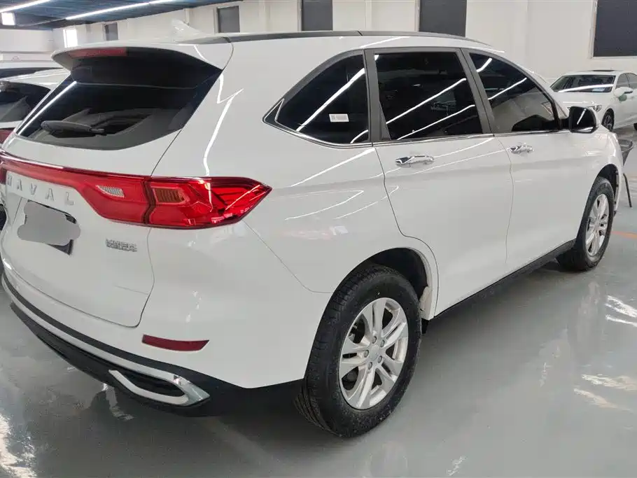 HAVAL M6