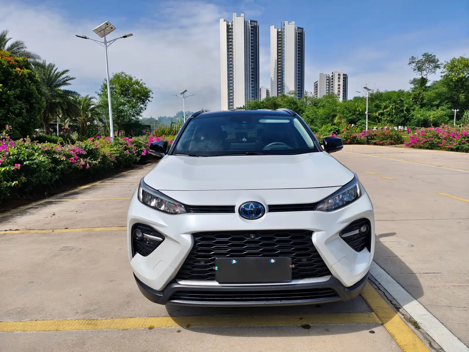 Фото 2 - Toyota Wildlander