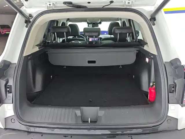 Haval Big Dog 2021 1.5T DCT 2WD Malinois Edition — фото 4