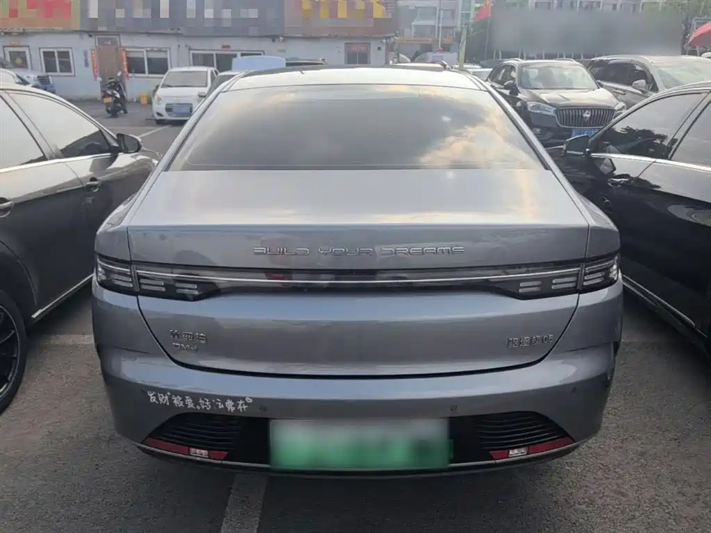 BYD Destroyer 05 2023 Champion Edition DM-i 55KM Luxury фото 6