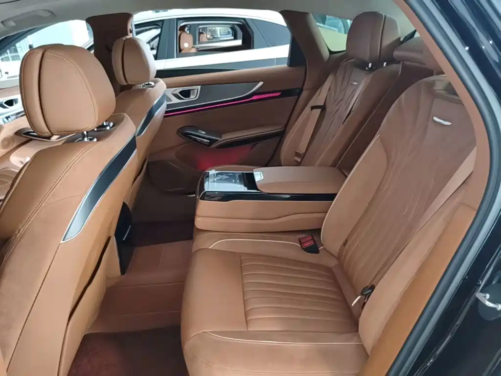 Hongqi H9 2024 2024 2.0T Qi Enjoy Private Fashion Edition
