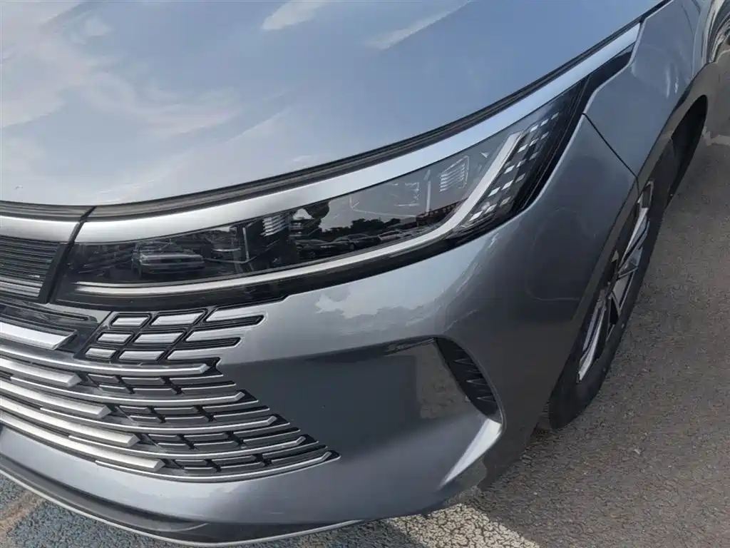 BYD Destroyer 05 2023 Champion Edition DM-i 55KM Luxury фото 24