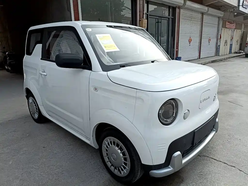 2026 Ruilan Auto Ruilan Blue Elf