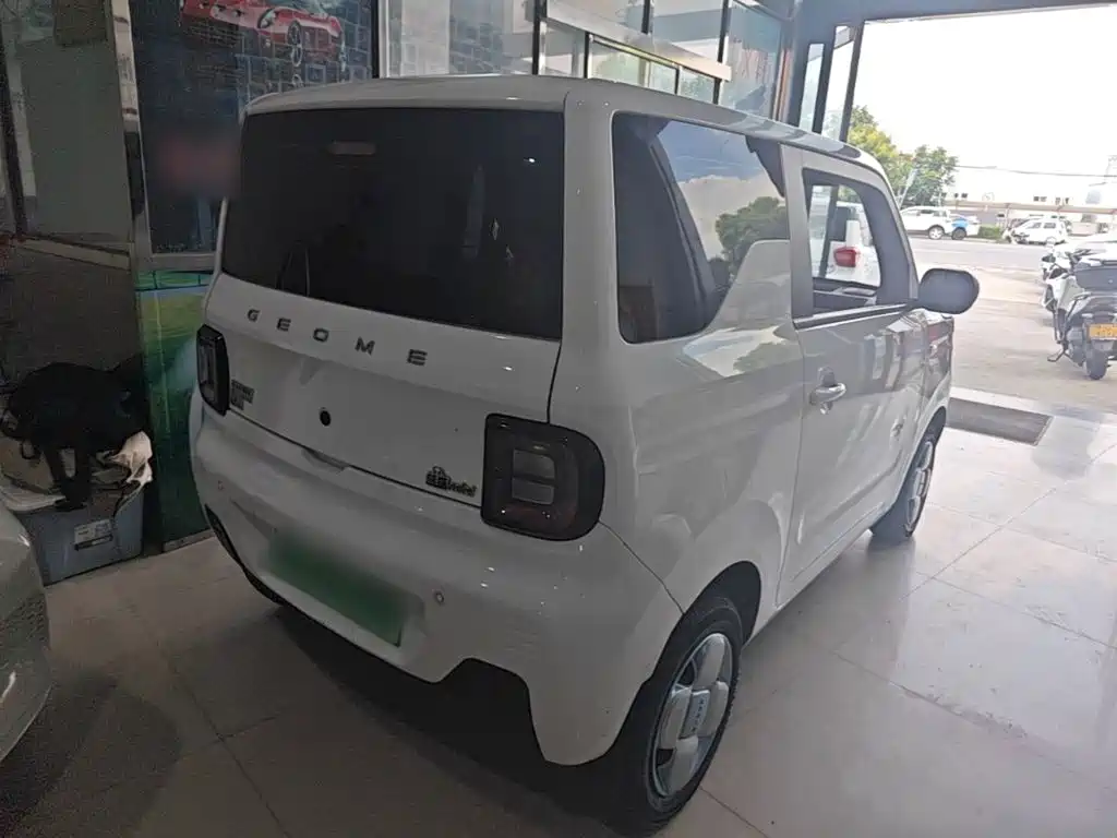 Фото 7 - Geely Galaxy Panda
