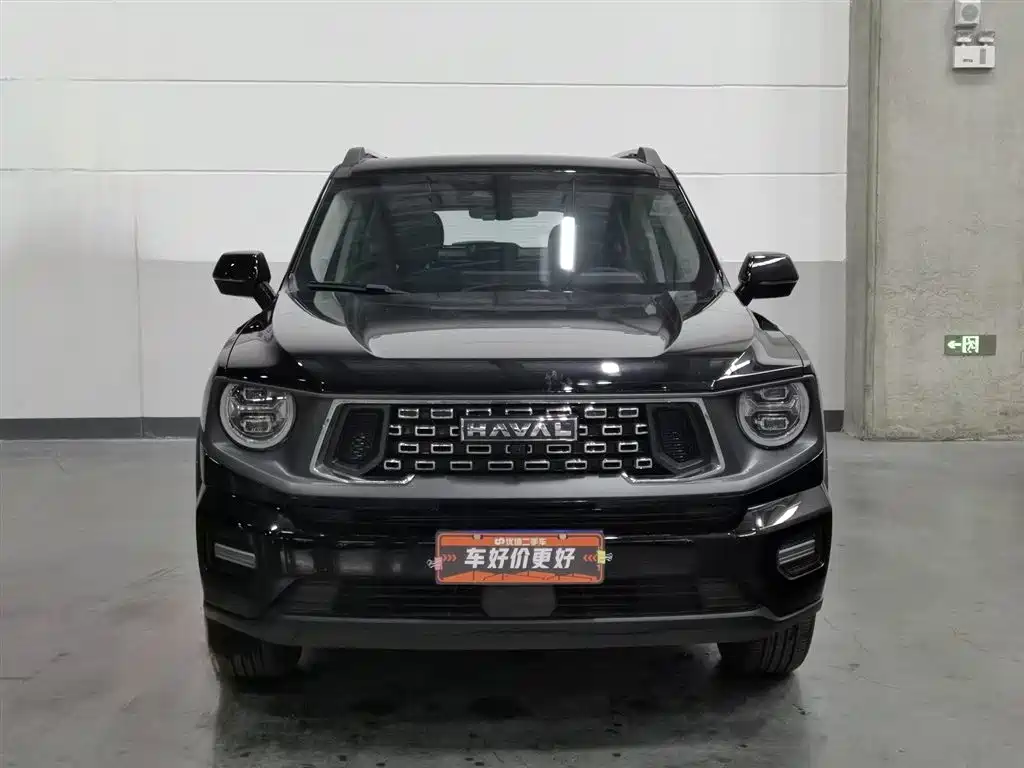HAVAL BIG DOG PLUS