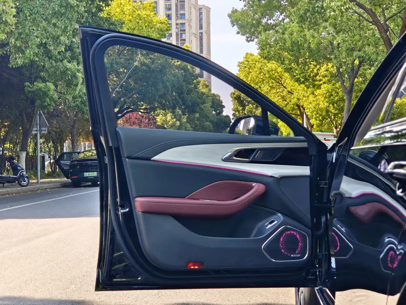 Hongqi H5 PHEV 2025 2025 170 Super Hybrid Edition
