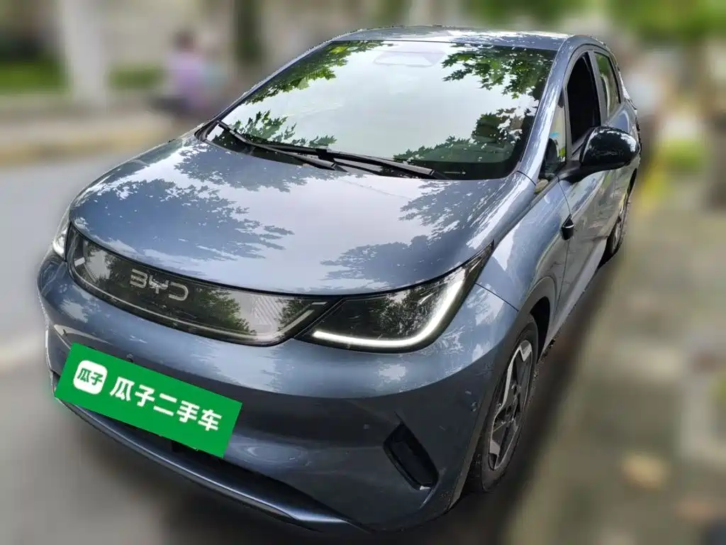 BYD Dolphin 2025