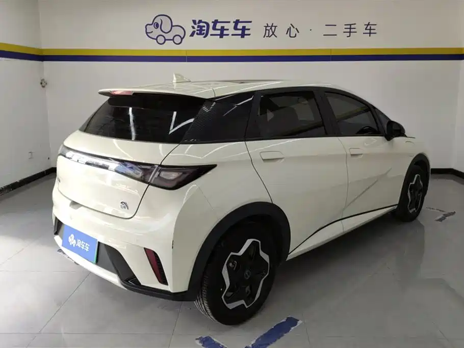 BYD Dolphin 2021 Model 405km Fashion Edition фото 3