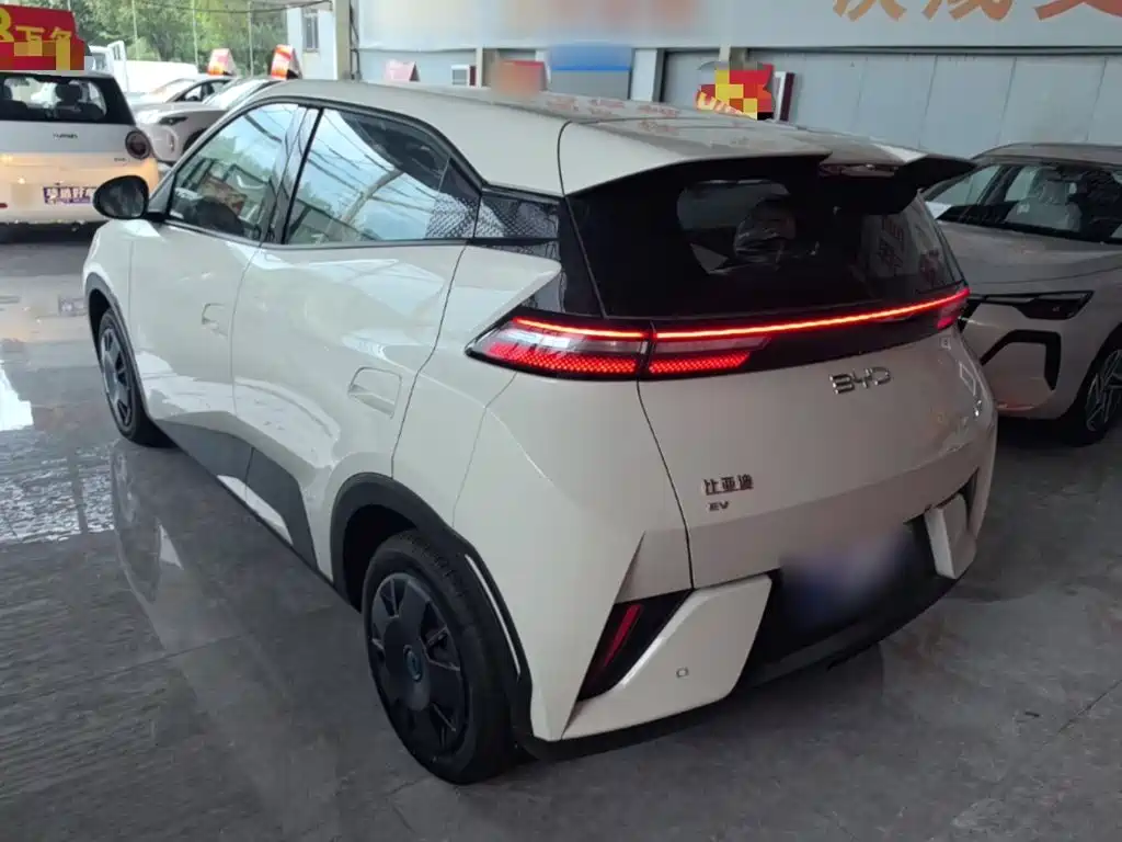 BYD Seagull 2026 2025 Smart Drive Edition 305km Vitality Version