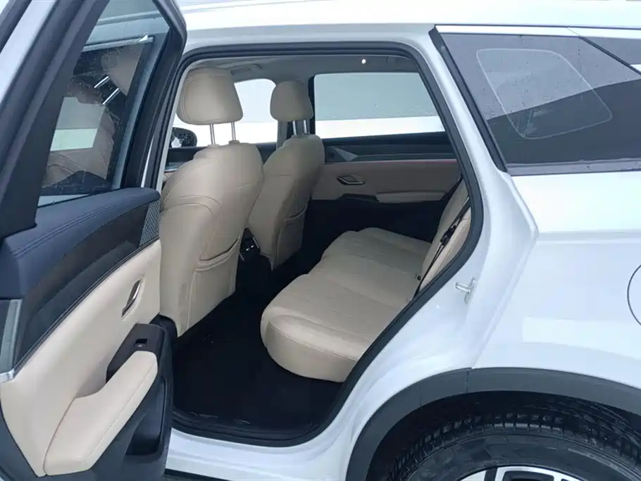 BYD SONGJIANG NEW ENERGY